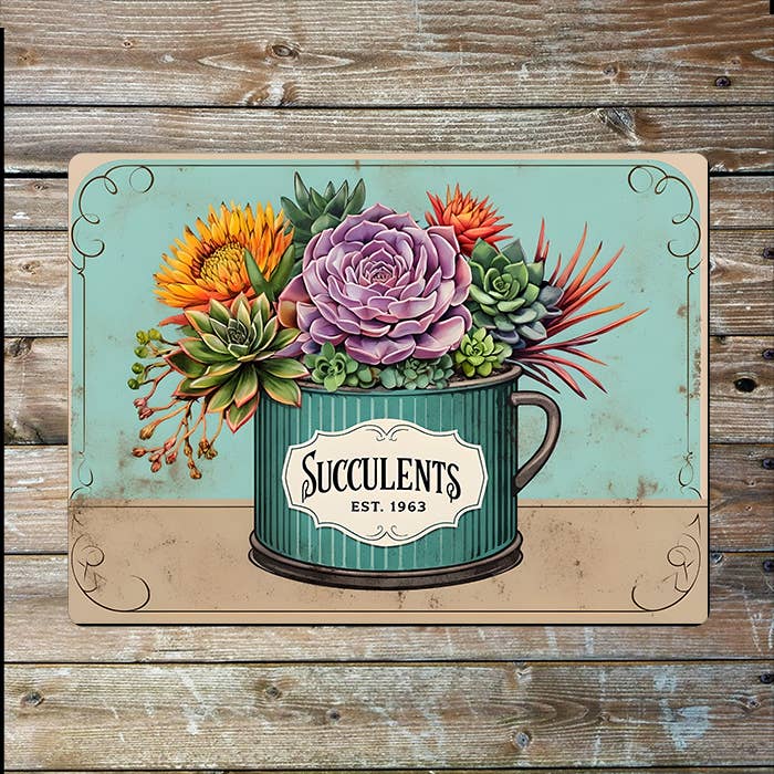 Botanical Colourful Succulents Vintage | Metal Sign Plaque