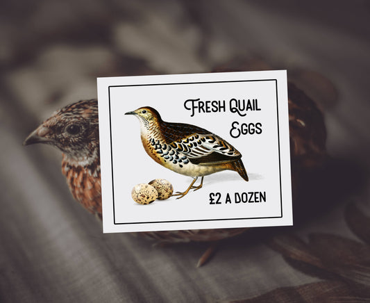 Fresh Quail Eggs Tin Sign | Metal Sign Plaque