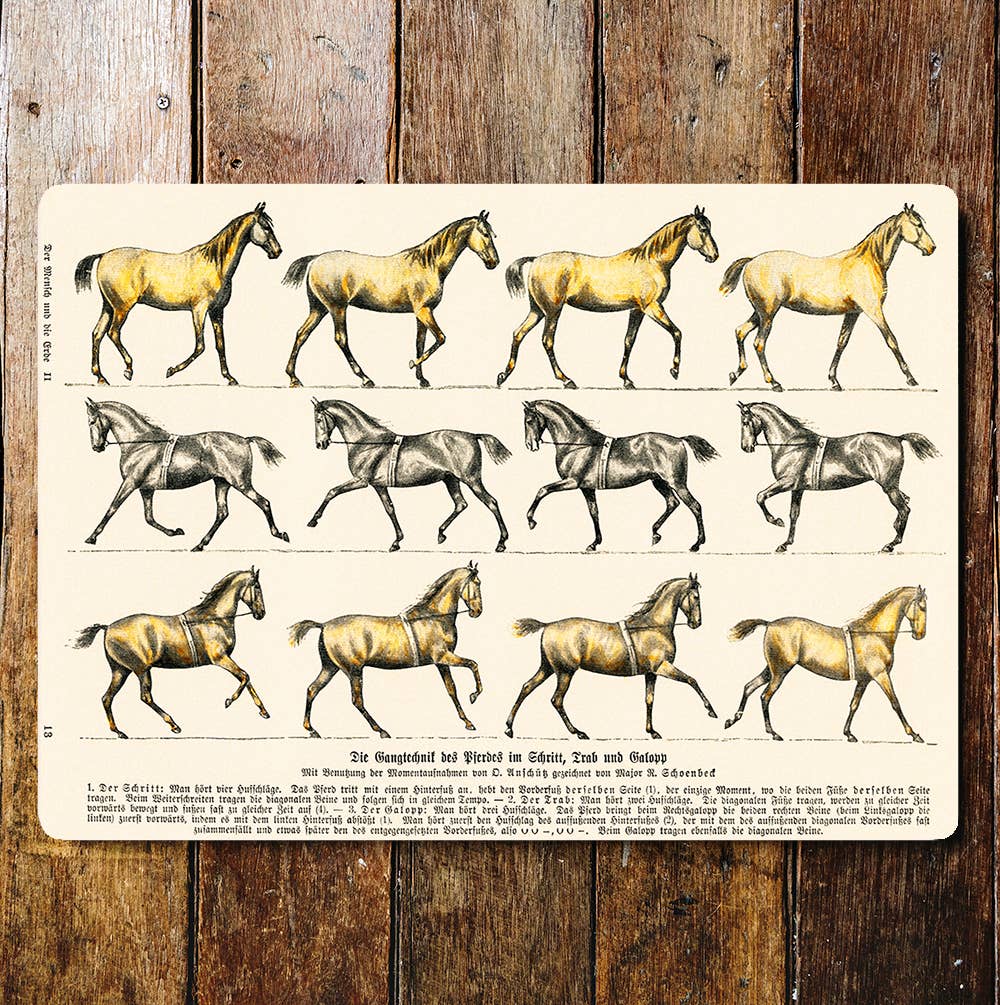 Horses In Movement Pattern | Metal Sign Plaque
