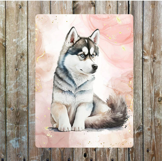 Cute Laying Husky Dog Portrait | Metal Sign Plaque