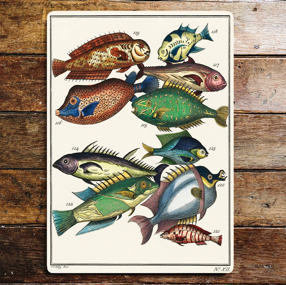 Assortment of Fish Pattern | Metal Sign Plaque