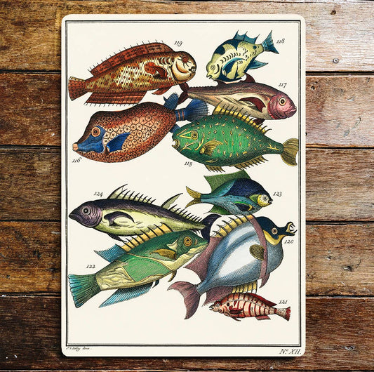 Assortment of Fish Pattern | Metal Sign Plaque