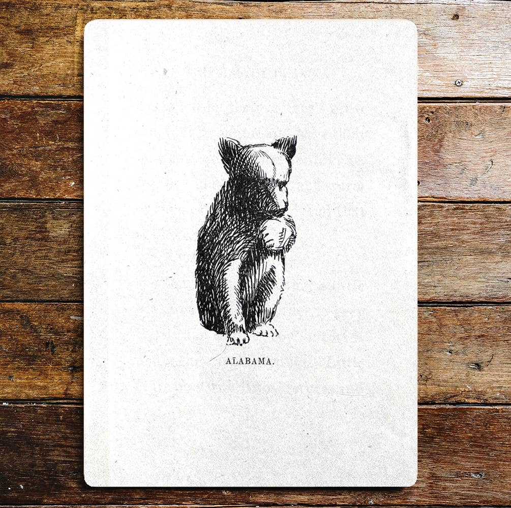 Cute Bear Cub Black And White Sitting Paw | Metal Sign Plaque