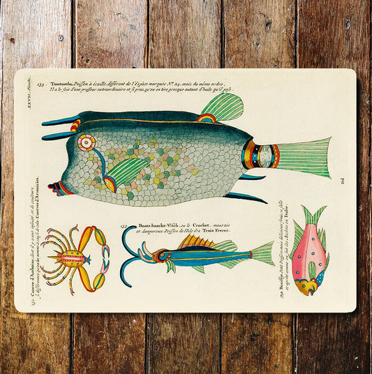 Unusual Fish Sea Creatures | Metal Sign Plaque