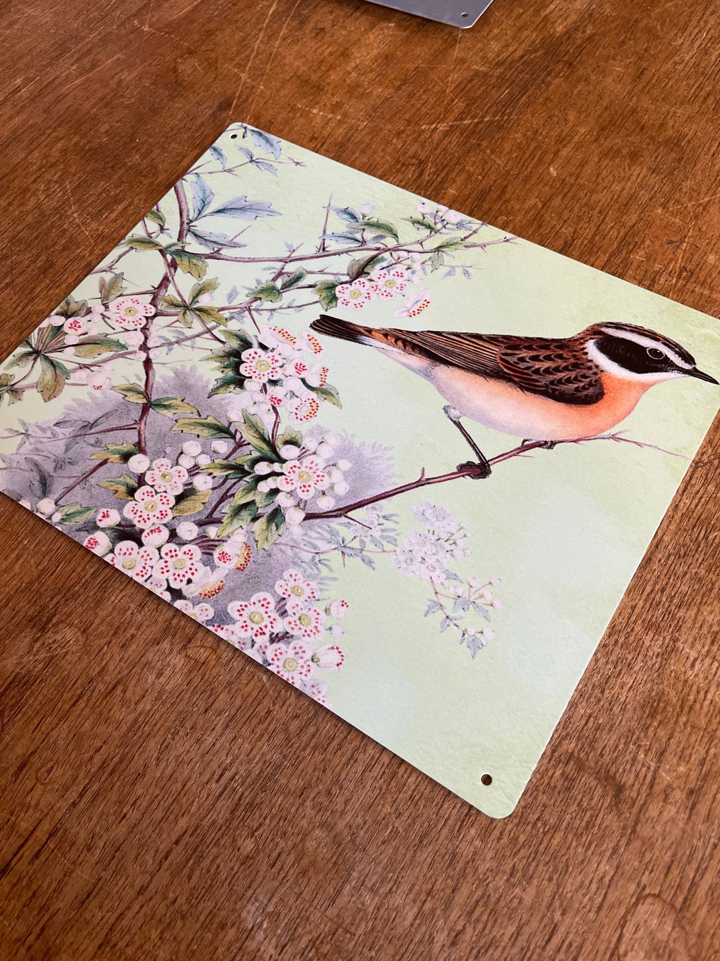 Bird on branch blossom | Metal Sign Plaque
