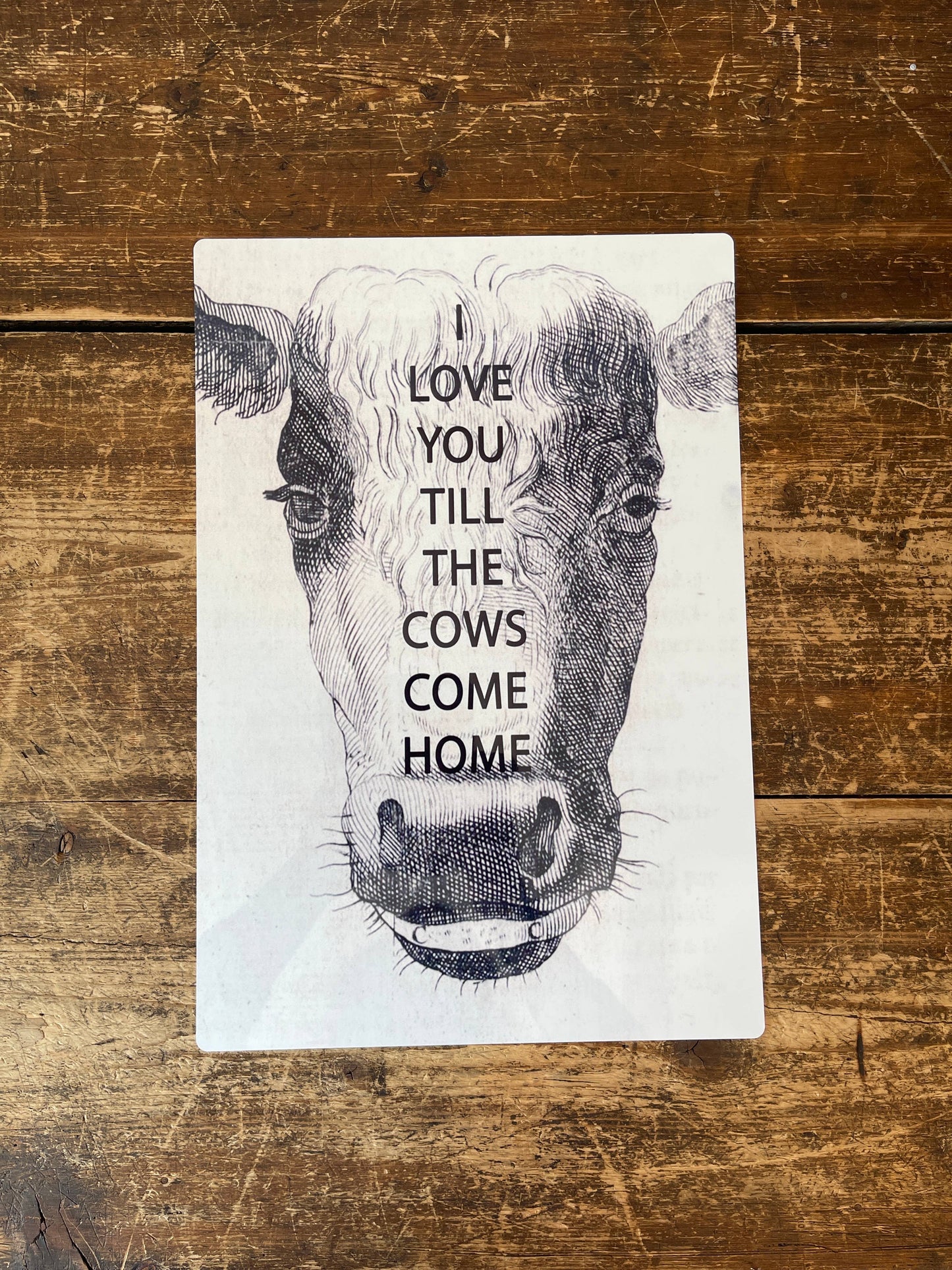 Cow I love you till the cows come home | Metal Sign