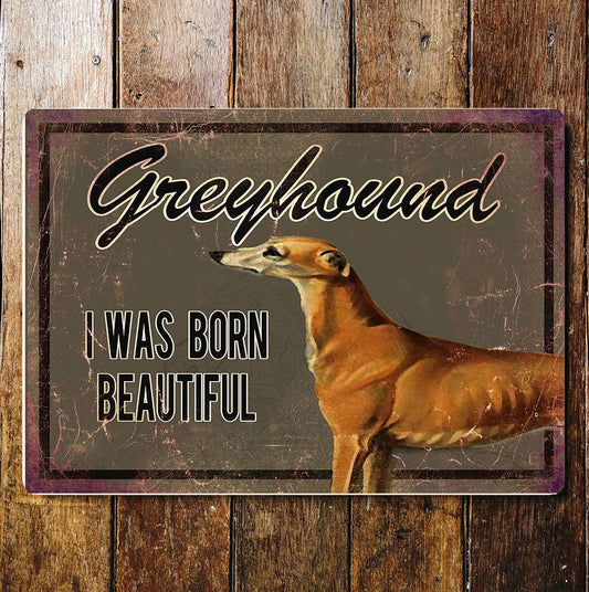Greyhound beautiful dog | Metal Sign Plaque