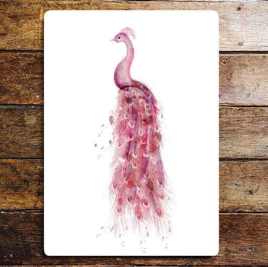 Pink Peacock art Metal Sign Plaque