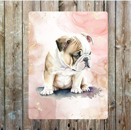 Cute English Bulldog Puppy Portrait | Metal Sign Plaque