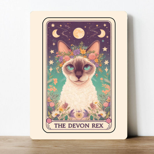 The Devon Rex Cat Tarot Magic Metal Sign Plaque