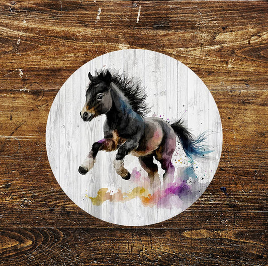 Young Horse Foal Colour Splash Pet Art Circle Metal Sign