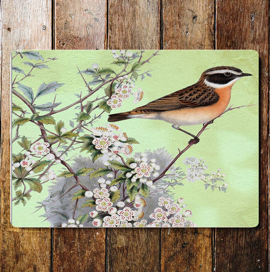 Bird on branch blossom | Metal Sign Plaque