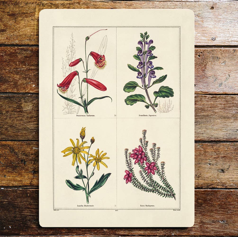 Flowers Selection | Metal Wall Sign Plaque