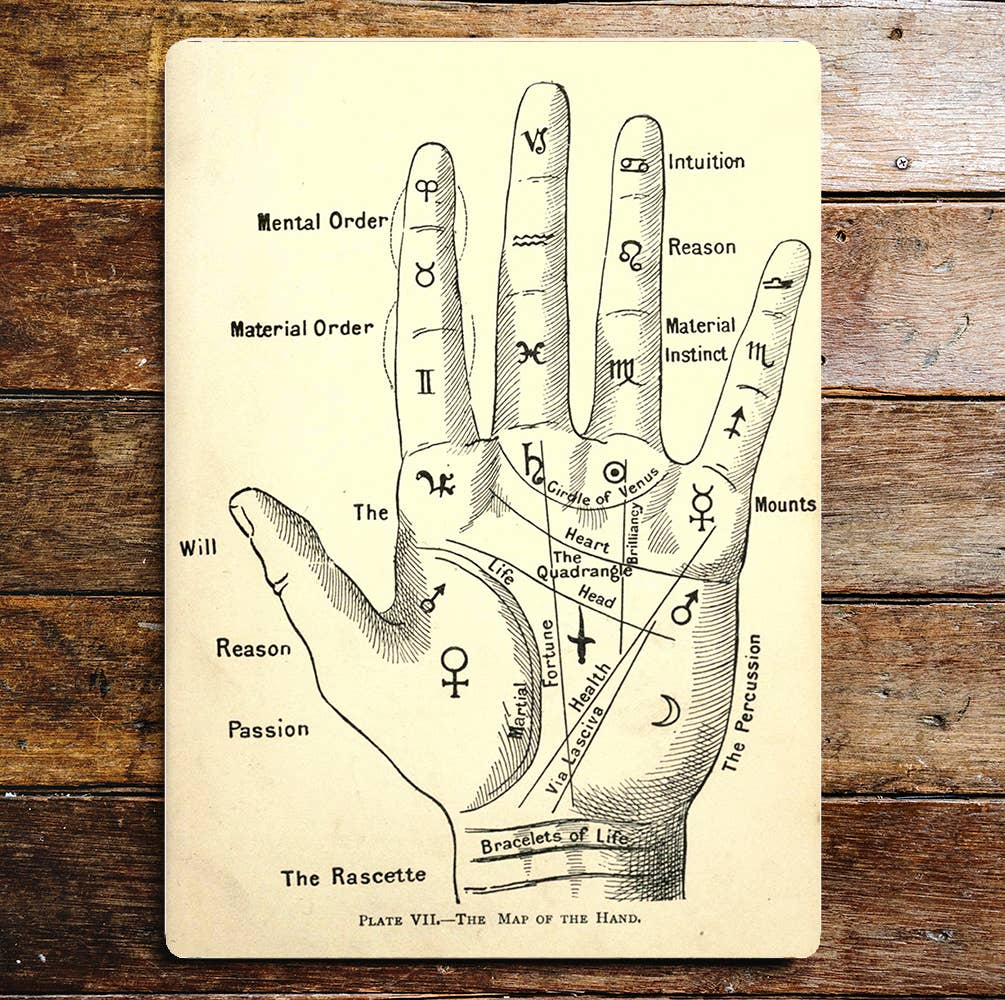 The Map Of The Hand Metal Wall Sign Plaque