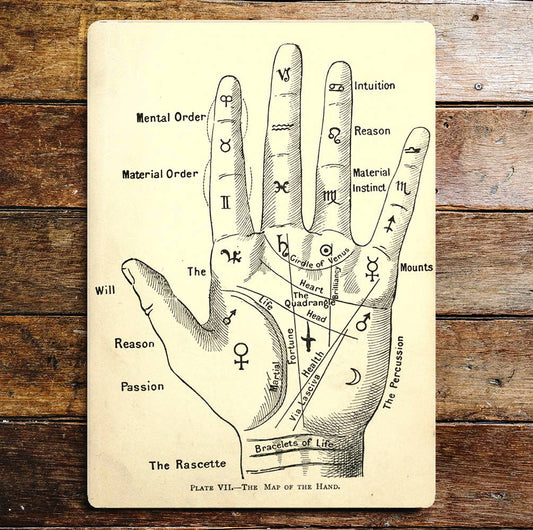 The Map Of The Hand Metal Wall Sign Plaque