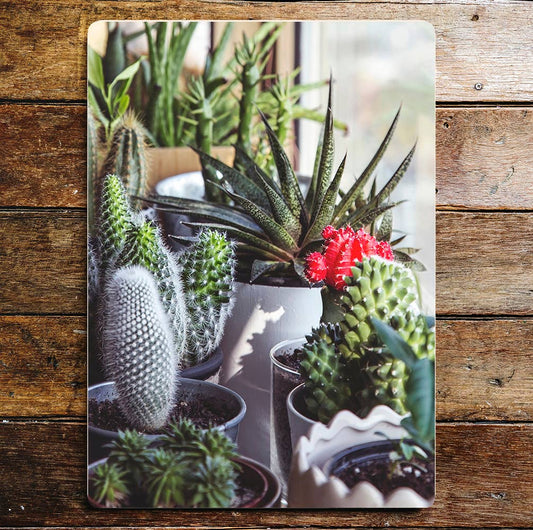 Cactus plant nature lifestyle art | Metal Sign Plaque