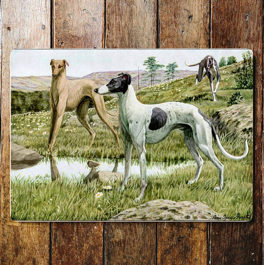 Whippet Dogs Fields Water Countryside | Metal Sign Plaque