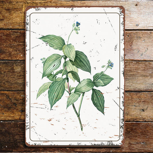 tradescantia erecta Plant Metal Wall Sign