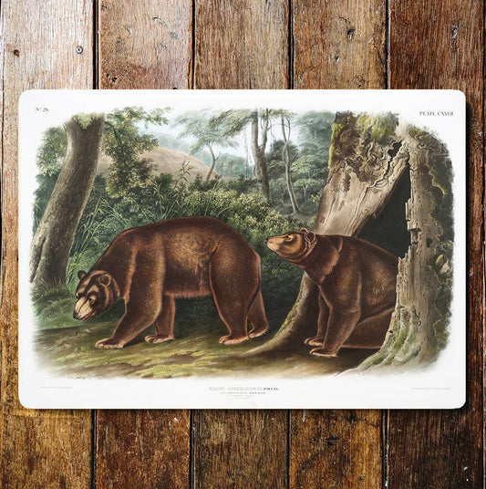 Bears Cave Green Forest | Metal Sign Plaque