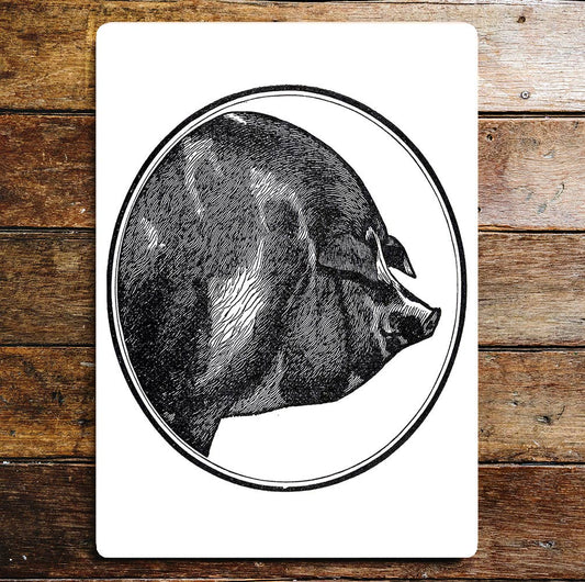 Black And White Pig Head Portrait | Metal Sign plaque