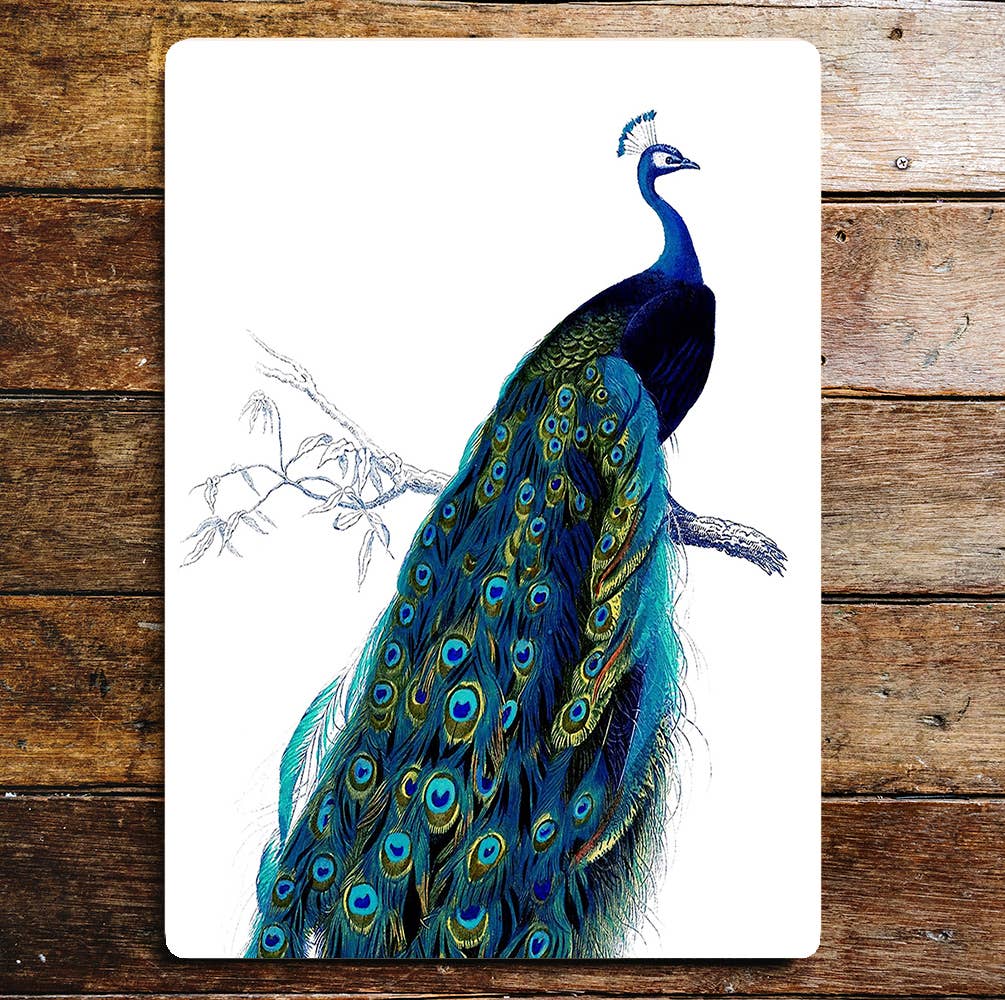 Peacock Tail Animals Branch Metal Wall Sign