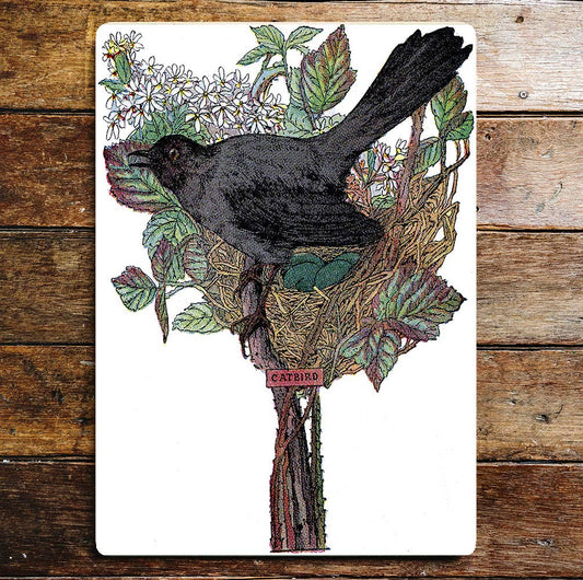 Black Catbird Nesting White Flowers | Metal Sign Plaque