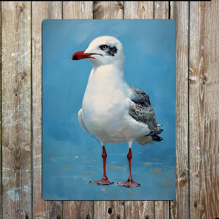 Seagull Portrait Sky Blue Backgroud Metal Sign Plaque