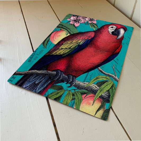 Red Parrot Metal Humour Wall Sign