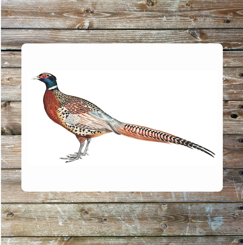 Pheasant Michigan blue back Metal Sign Plaque