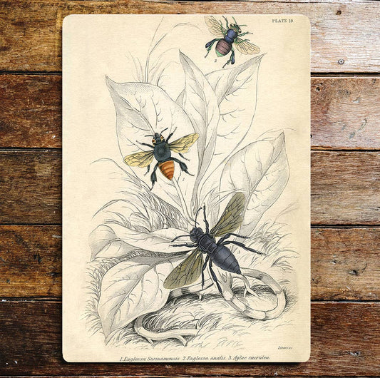 Flies Leaves Garden | Metal Wall Sign