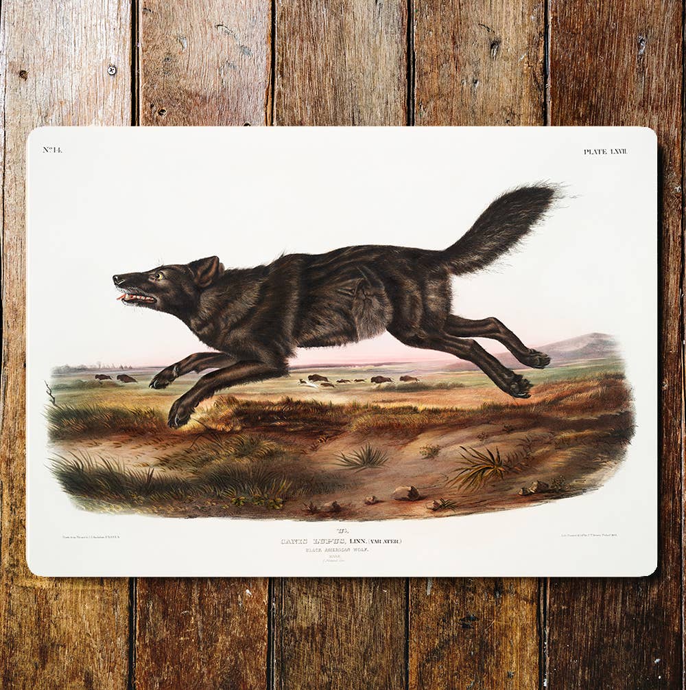 Leaping Wolf Countryside Fields | Metal Sign Plaque