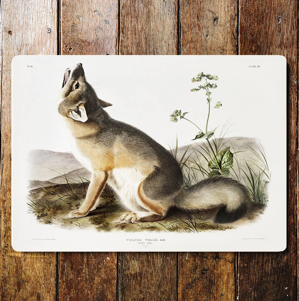Howling Wolf Countryside Hills | Metal Sign Plaque