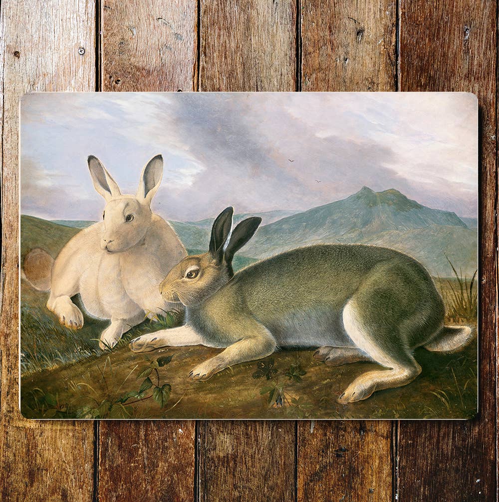 Resting Rabbits Hares Hillside Country Metal Sign Plaque