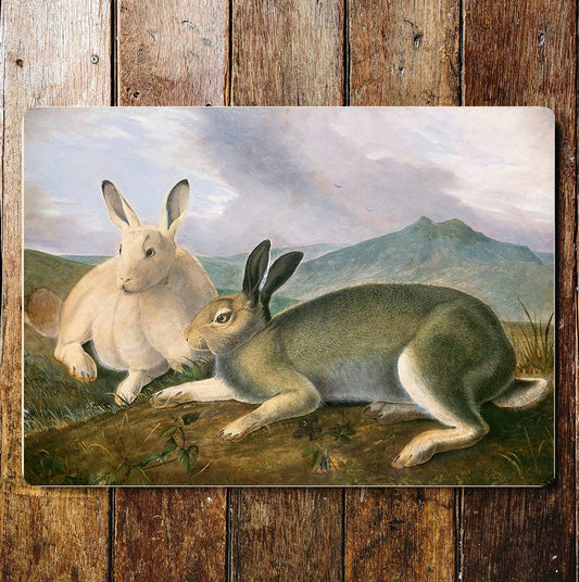 Resting Rabbits Hares Hillside Country Metal Sign Plaque