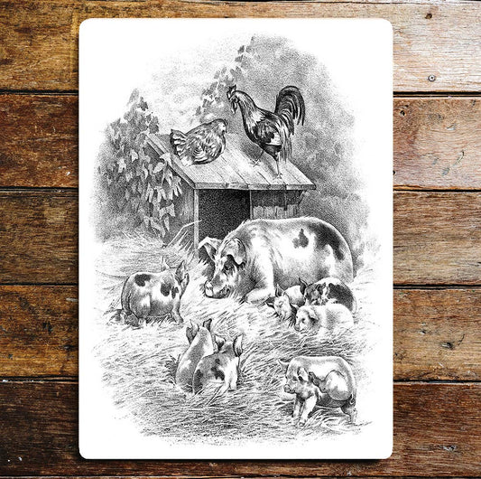 Pig Sty Farm Yard Cockerel Chicken Metal Sign plaque