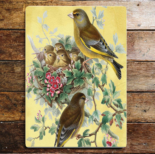 Bird greenfinch wildlife art | Metal Sign Plaque
