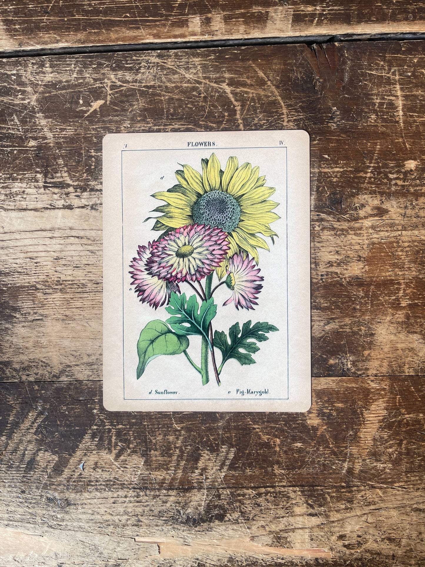 Sunflowers Flowers Metal Floral Wall Sign