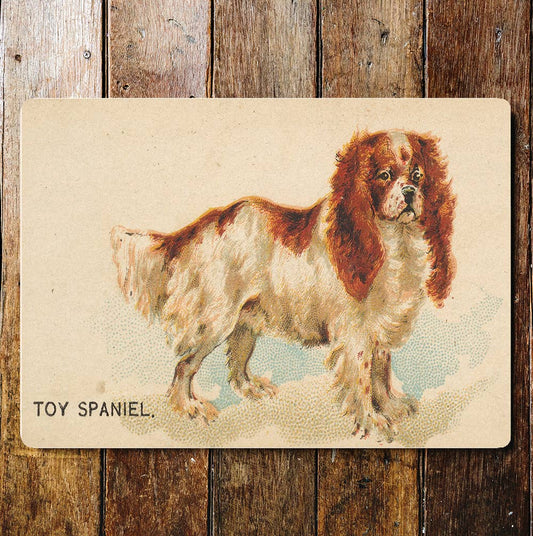 Spaniel
Dog breed Metal Sign Plaque