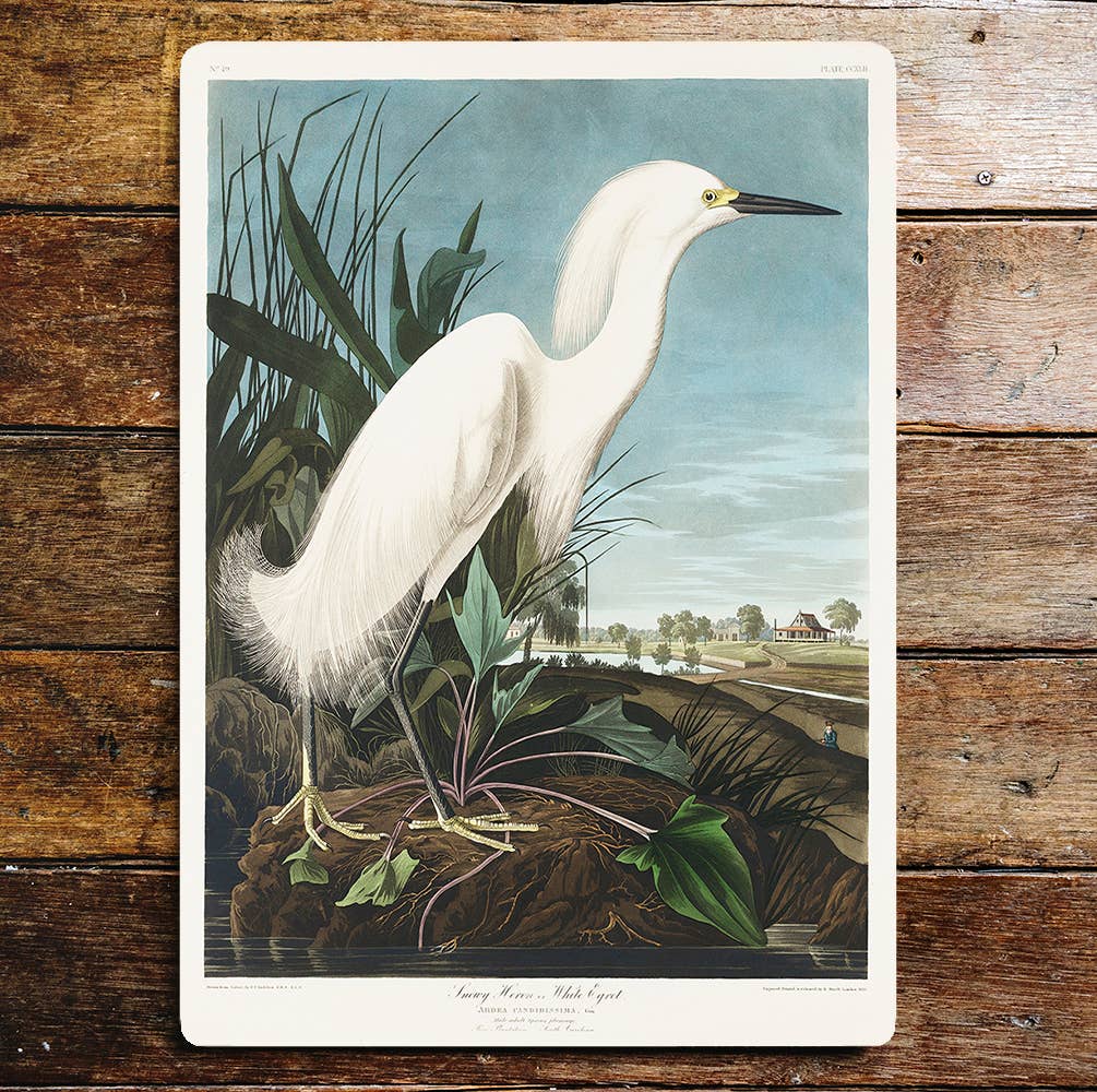 White Heron Bird Pond Life | Metal Sign Plaque