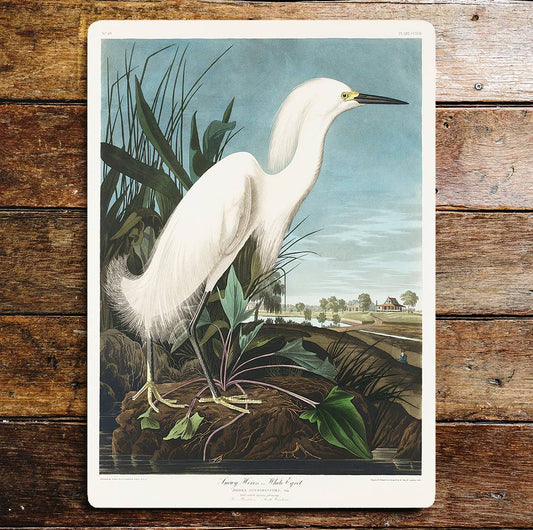 White Heron Bird Pond Life | Metal Sign Plaque