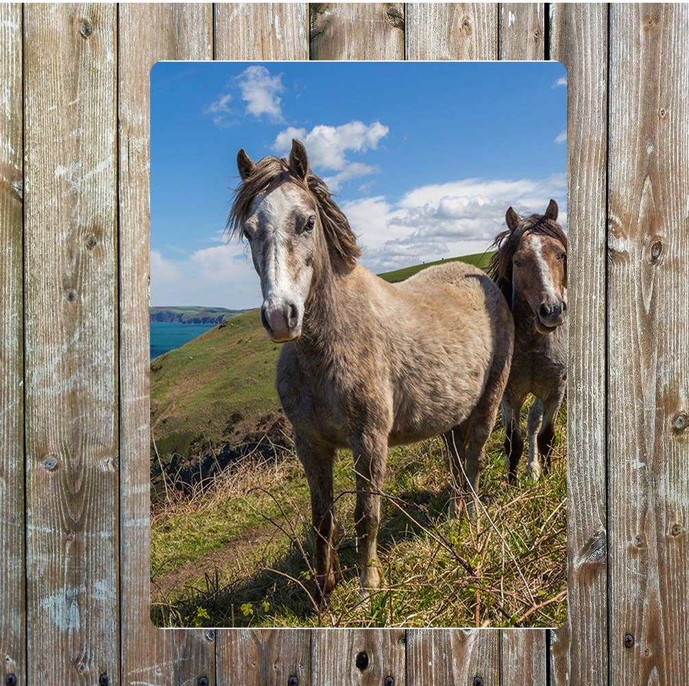 Wild Horses, pony wall art | Metal Sign Plaque