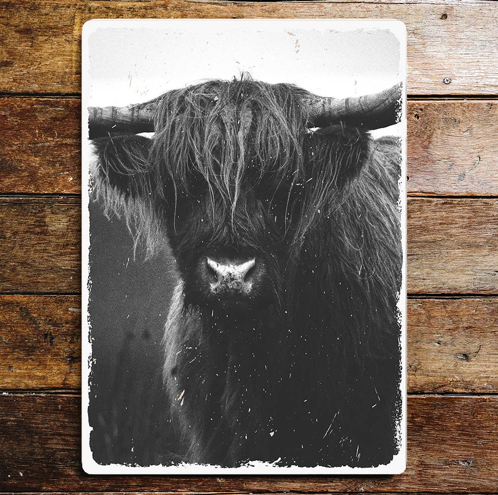 Highland Cow Horns Black And White | Metal Sign Plaque