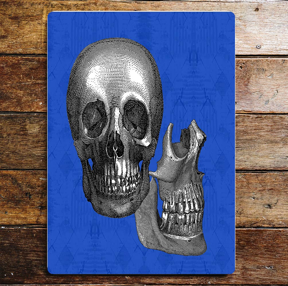 Skull Blue Teeth Metal Wall Sign