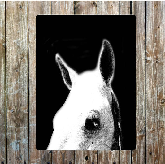 White Horse  wall art | Metal Sign Plaque
