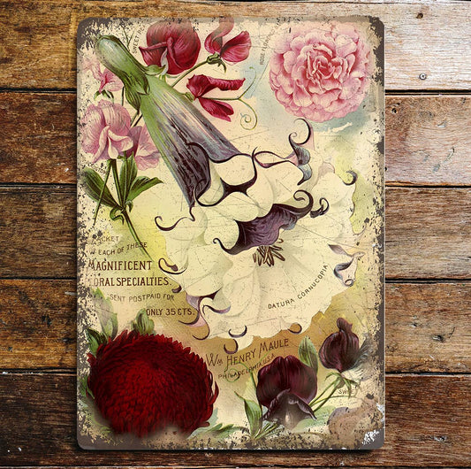 Vintage Seed Pack Botanical Flowers | Metal Wall Sign Plaque