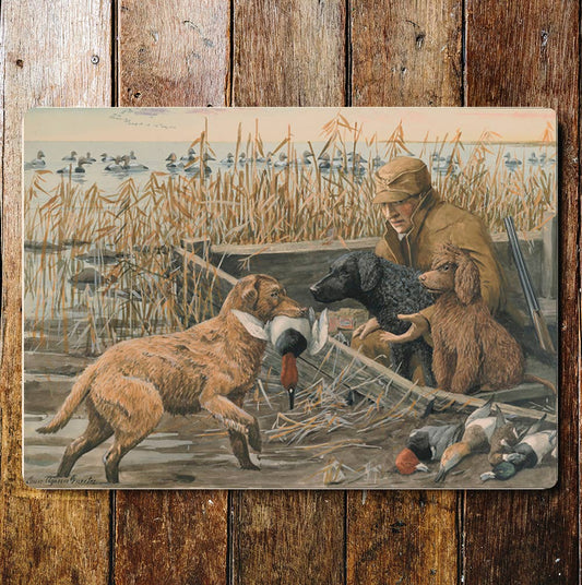 The Shoot Dogs Ducks On The Lake Metal Sign Plaque