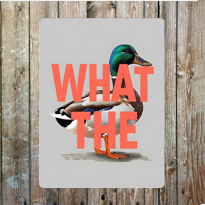 What The Duck | Metal Sign Plaque