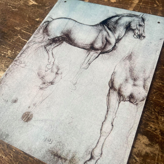 Leonardo da Vinci study of a Horse | Metal Sign