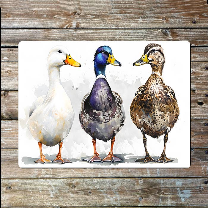 Three Ducks Watercolour Spring Metal Sign Plaque
