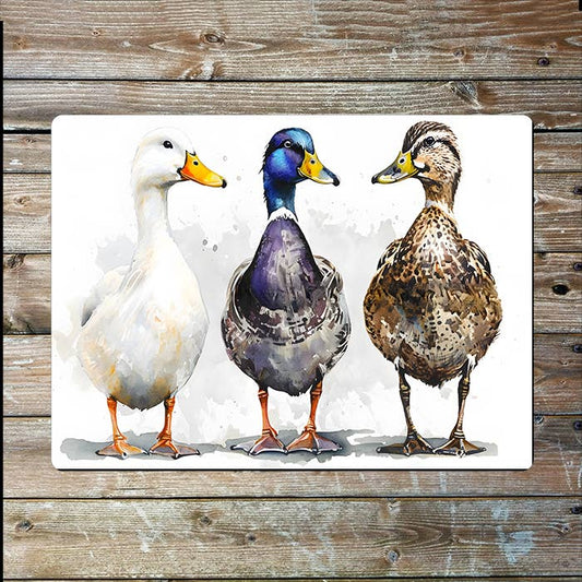 Three Ducks Watercolour Spring Metal Sign Plaque